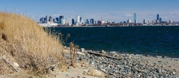 从波士顿港的景观岛看波士顿城市的天际线